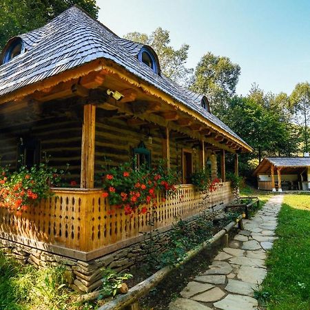 Casa Lu' Ion Villa Vişeu de Sus Екстериор снимка