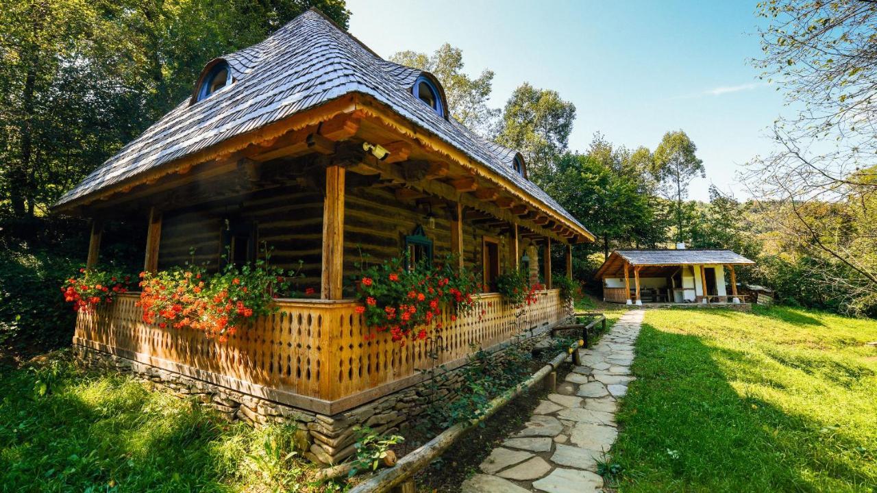Casa Lu' Ion Villa Vişeu de Sus Екстериор снимка