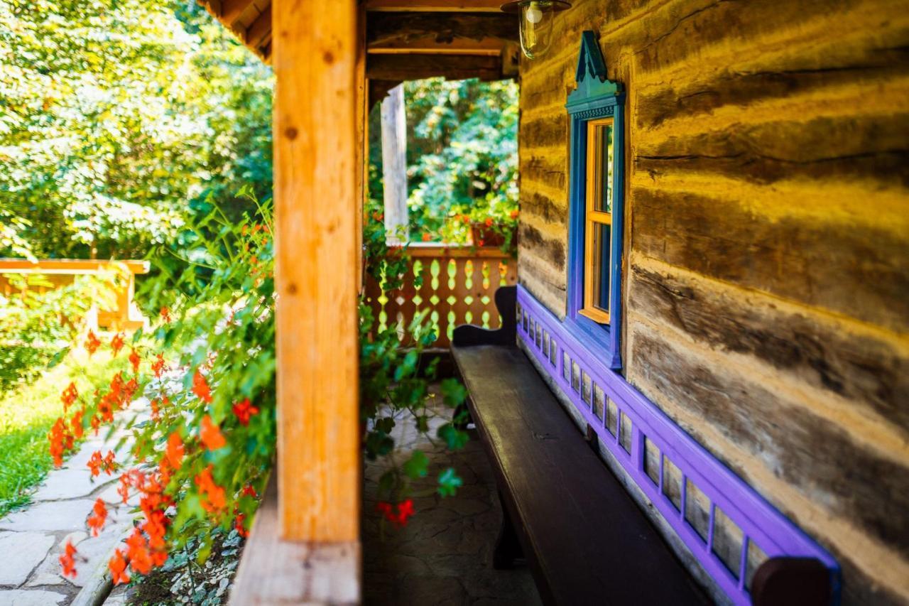 Casa Lu' Ion Villa Vişeu de Sus Екстериор снимка
