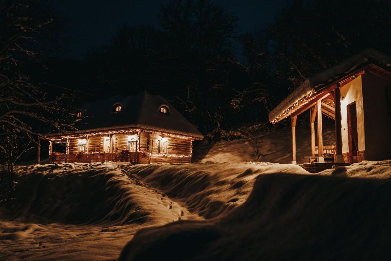 Casa Lu' Ion Villa Vişeu de Sus Екстериор снимка
