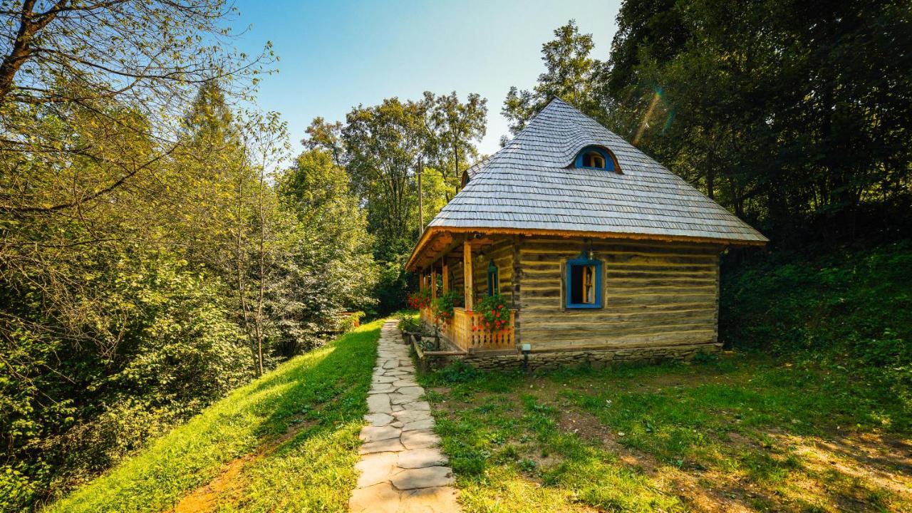 Casa Lu' Ion Villa Vişeu de Sus Екстериор снимка