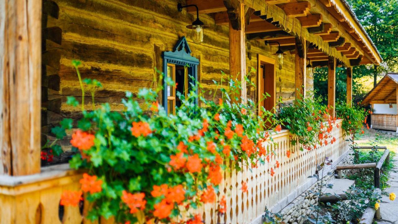 Casa Lu' Ion Villa Vişeu de Sus Екстериор снимка