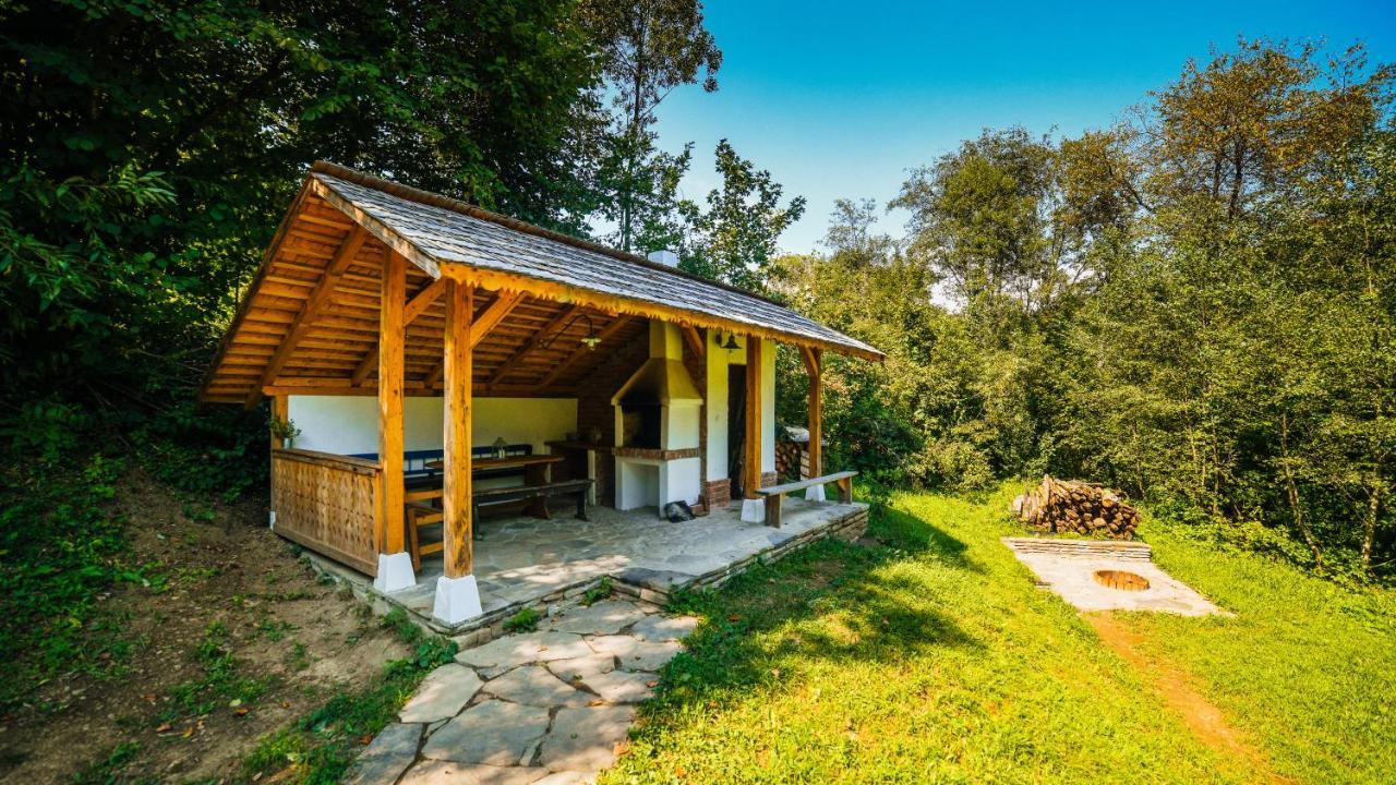 Casa Lu' Ion Villa Vişeu de Sus Екстериор снимка