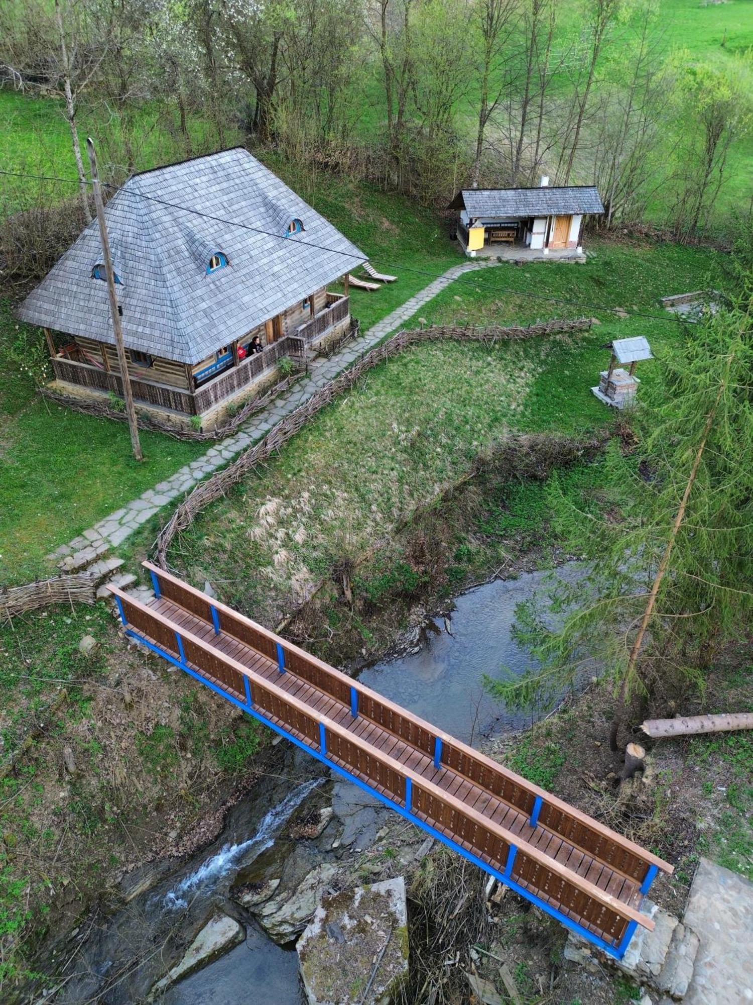 Casa Lu' Ion Villa Vişeu de Sus Екстериор снимка