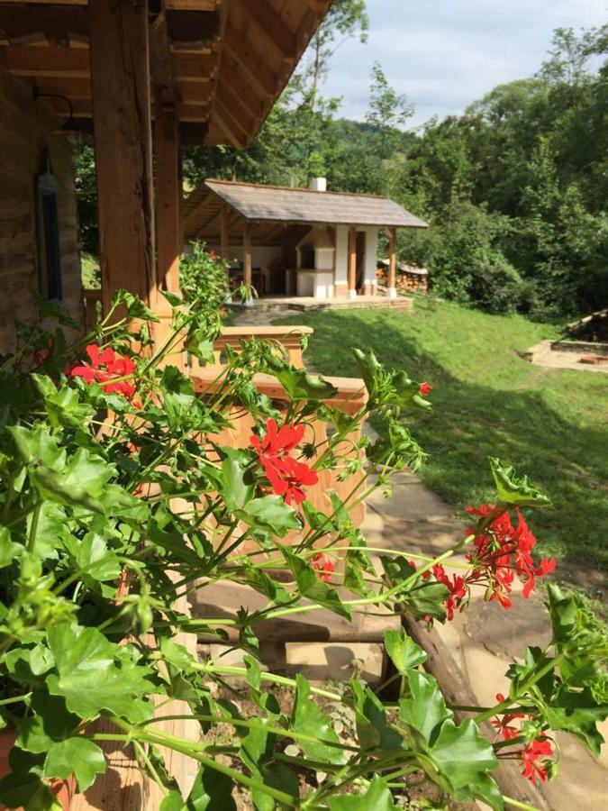 Casa Lu' Ion Villa Vişeu de Sus Екстериор снимка