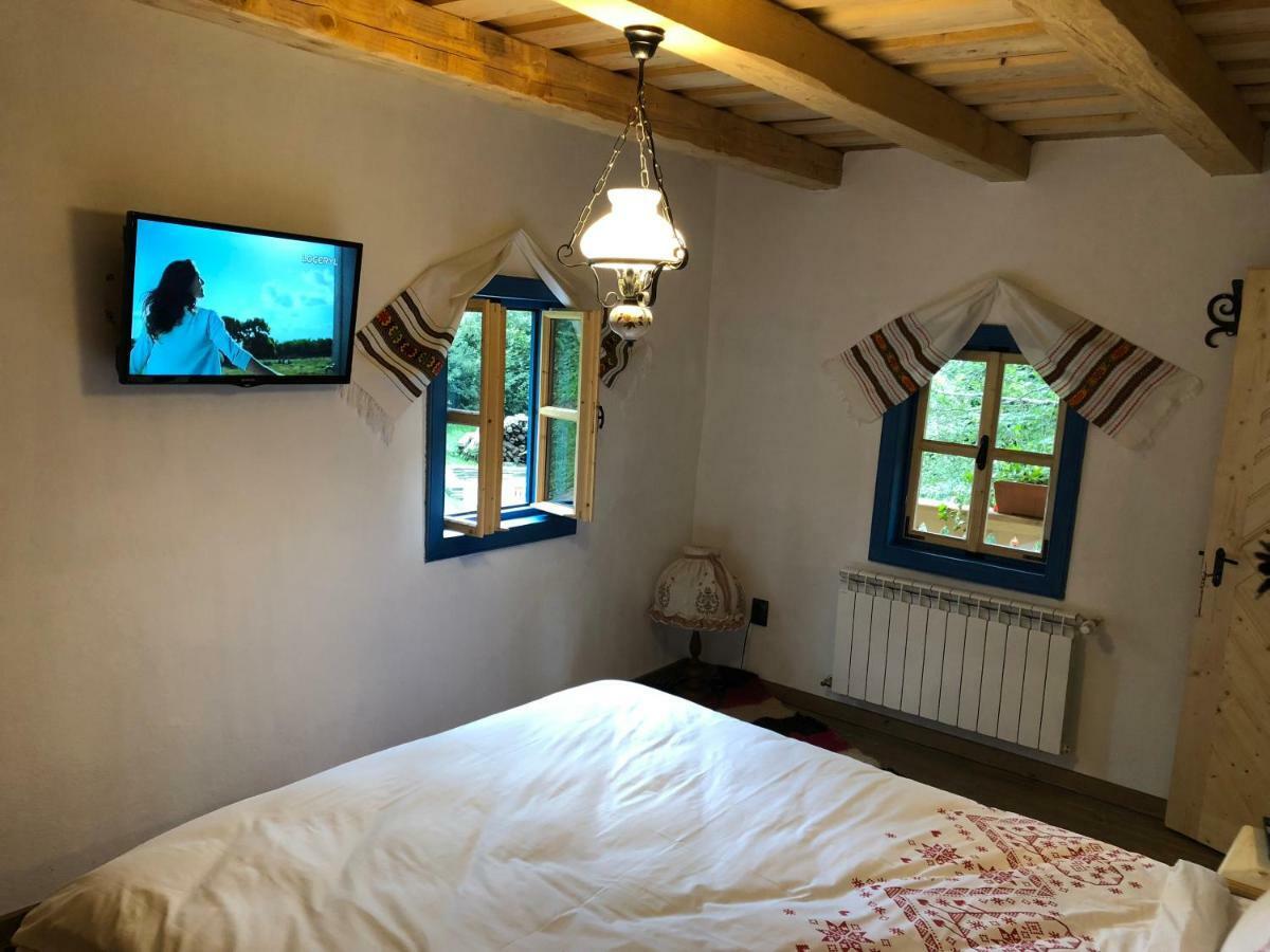 Casa Lu' Ion Villa Vişeu de Sus Екстериор снимка